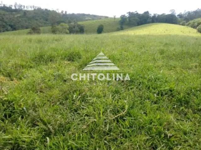 Sítio / Chácara para Venda em Guapiara/SP Pinheiros