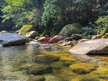 Sítio / Chácara para Venda em Guapimirim/RJ Barreira 15 Quartos