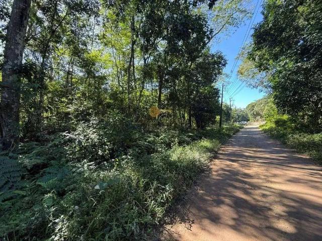 Sítio / Chácara para Venda em Guapimirim/RJ Parque Nossa Senhora da Ajuda