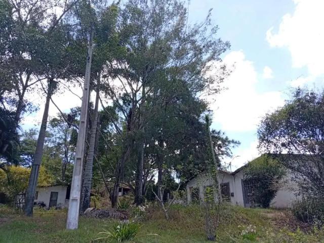 Sítio / Chácara para Venda em Bananeiras/PB Centro