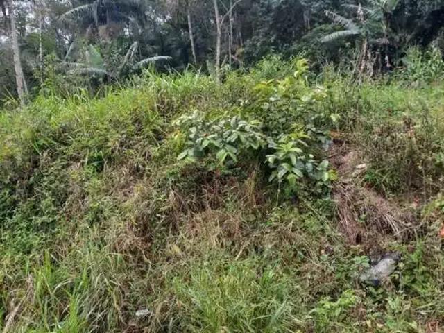 Sítio / Chácara para Venda em Guaramirim/SC Amizade 1 Quartos