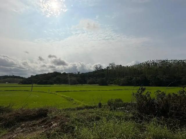 Sítio / Chácara para Venda em Guaramirim/SC Zona Rural