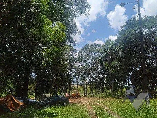 Sítio / Chácara para Venda em Guaraniaçu/PR Paris