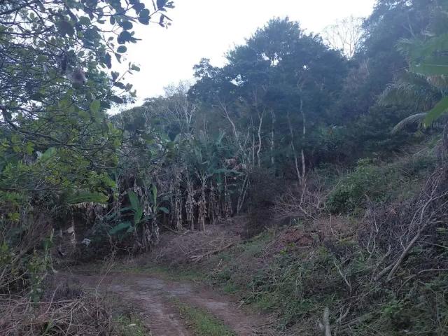 Sítio / Chácara para Venda em Guarapari/ES Cachoeirinha