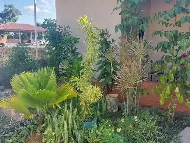 Sítio / Chácara para Venda em Guarapari/ES Barro Branco 2 Quartos