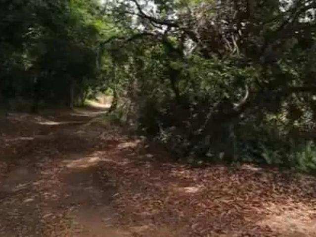 Sítio / Chácara para Venda em Guarapari/ES Perocão 3 Quartos