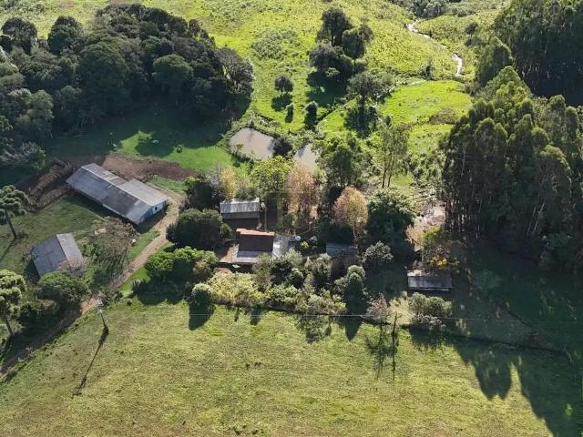 Sítio / Chácara para Venda em Guarapuava/PR Área Rural de Guarapuava