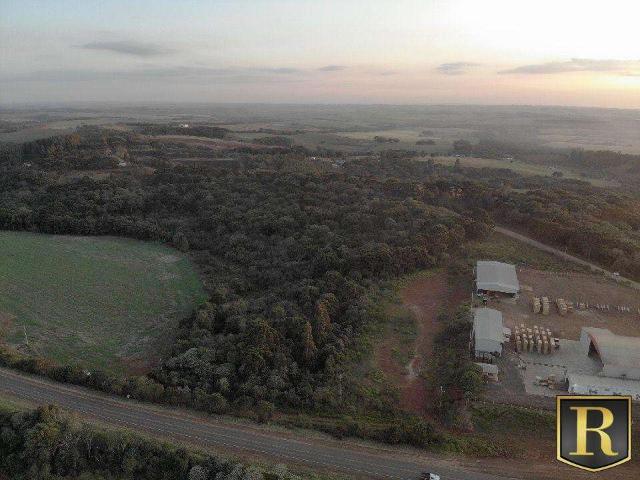 Sítio / Chácara para Venda em Turvo/PR Centro