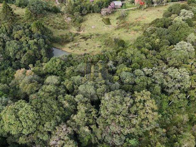 Sítio / Chácara para Venda em Guarapuava/PR Área Rural de Guarapuava