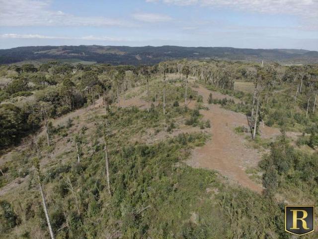 Sítio / Chácara para Venda em Guarapuava/PR Entre Rios