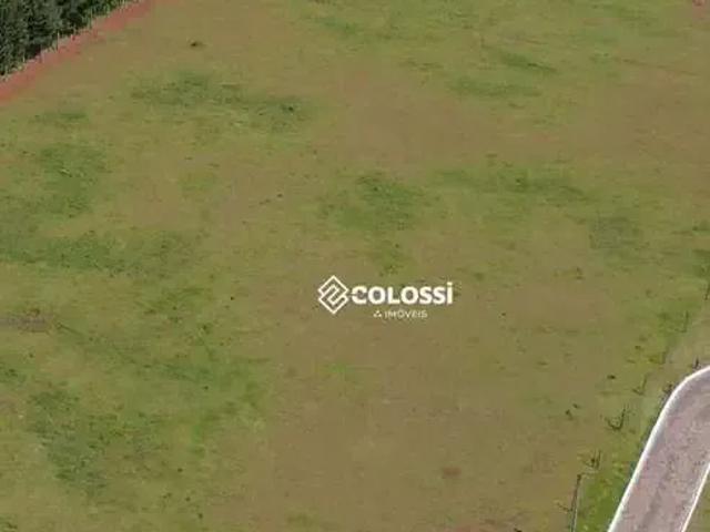 Sítio / Chácara para Venda em Guarapuava/PR Área Rural de Guarapuava