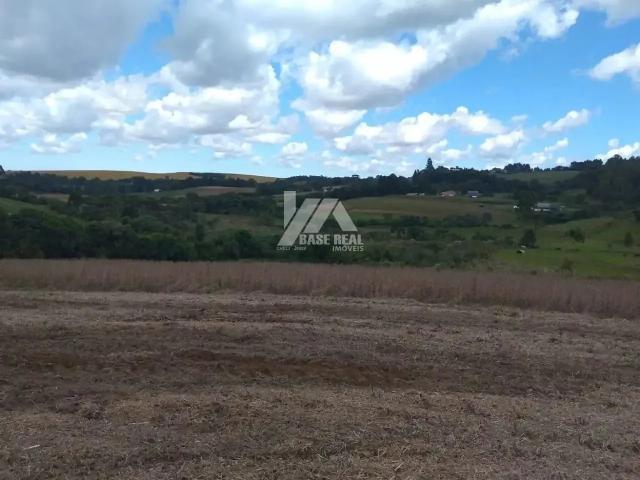 Sítio / Chácara para Venda em Guarapuava/PR Área Rural de Guarapuava