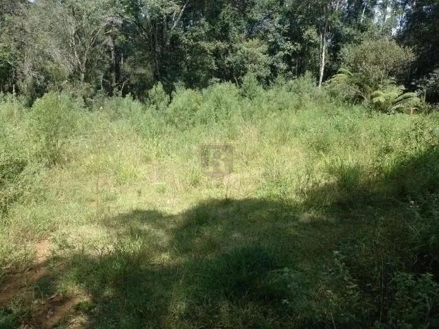 Sítio / Chácara para Venda em Guarapuava/PR Entre Rios