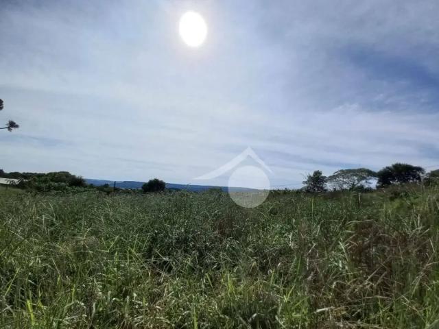 Sítio / Chácara para Venda em Guarapuava/PR Guairacá