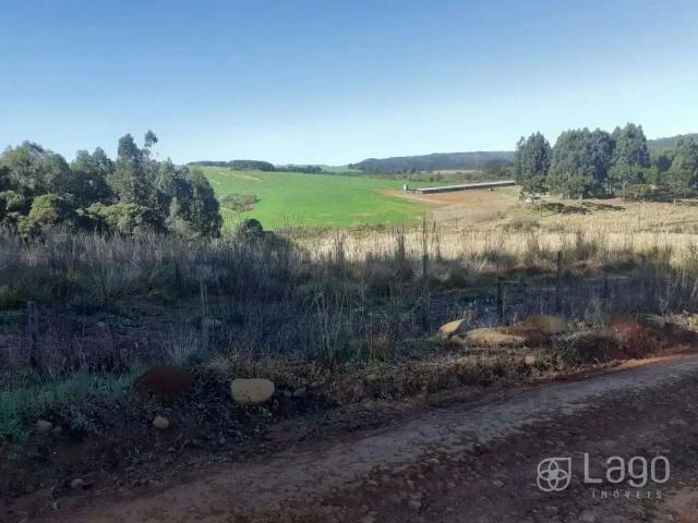 Sítio / Chácara para Venda em Guarapuava/PR Guairacá