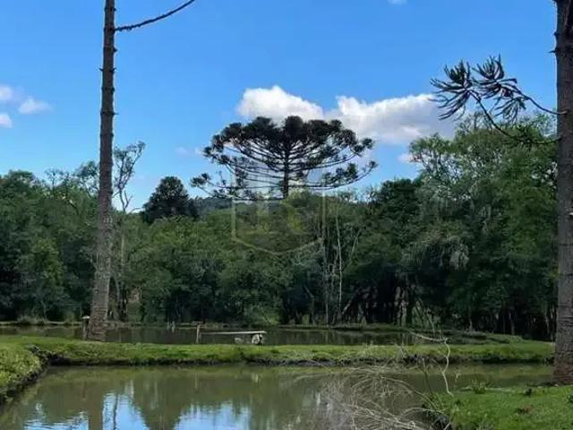 Sítio / Chácara para Venda em Guarapuava/PR Guairacá