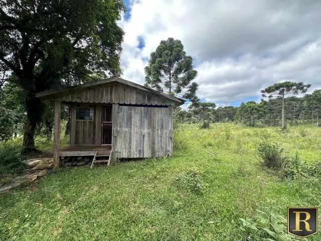 Sítio / Chácara para Venda em Guarapuava/PR Guairacá