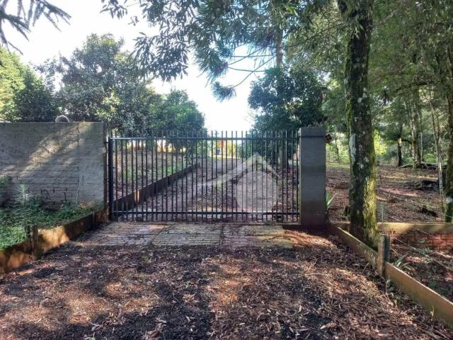 Sítio / Chácara para Venda em Guarapuava/PR Palmeirinha