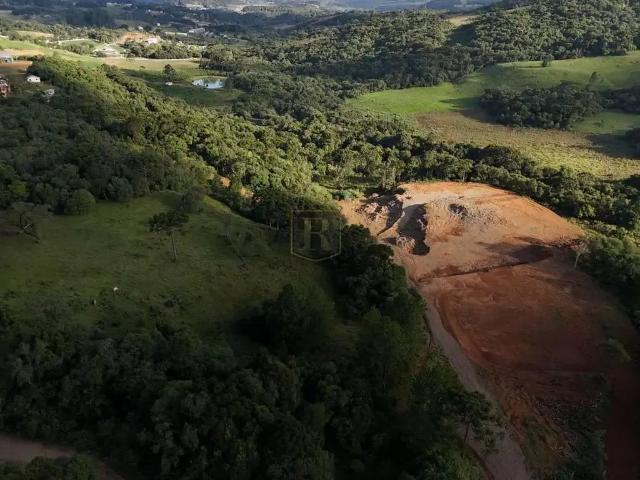 Sítio / Chácara para Venda em Guarapuava/PR Vila Bela