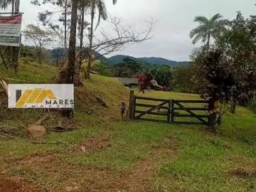 Sítio / Chácara para Venda em Guaraqueçaba/PR Centro