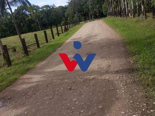 Sítio / Chácara para Venda em Guaraqueçaba/PR Tagaçaba de Baixo 1 Quartos