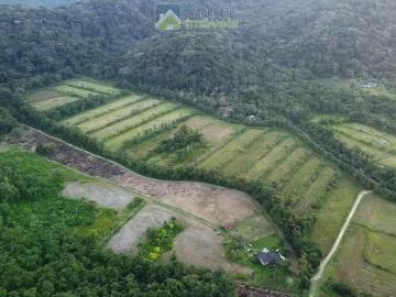 Sítio / Chácara para Venda em Guaraqueçaba/PR Vila Itaqui 2 Quartos