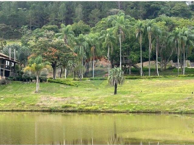 Sítio / Chácara para Venda em Guarará/MG Centro