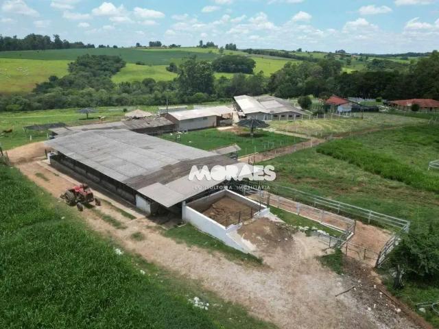 Sítio / Chácara para Venda em Guareí/SP Jacutinga 3 Quartos