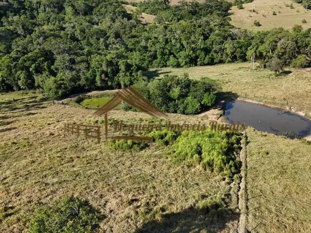 Sítio / Chácara para Venda em Guareí/SP Zona Rural