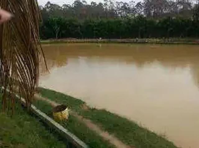 Sítio / Chácara para Venda em Guarulhos/SP Jardim Bela Vista 3 Quartos