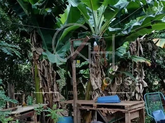 Sítio / Chácara para Venda em Guatapará/SP Centro 2 Quartos