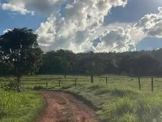 Sítio / Chácara para Venda em Gurinhatã/MG Zona Rural