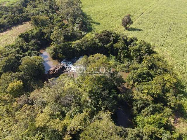 Sítio / Chácara para Venda em Doutor Camargo/PR Zona Rural