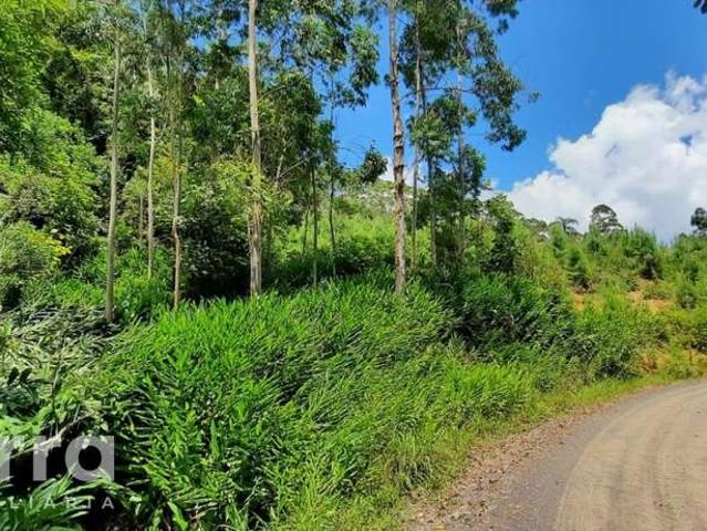 Sítio / Chácara para Venda em Doutor Pedrinho/SC Ribeirão Lima