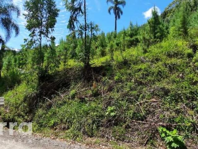 Sítio / Chácara para Venda em Doutor Pedrinho/SC Ribeirão Lima