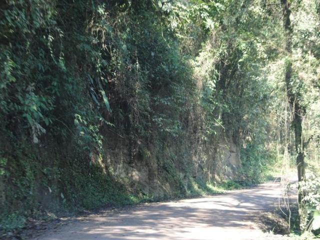 Sítio / Chácara para Venda em Doutor Pedrinho/SC Zona Rural