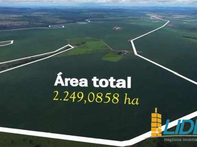 Sítio / Chácara para Venda em Doverlândia/GO Zona Rural
