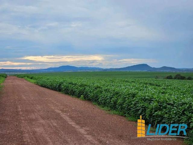 Sítio / Chácara para Venda em Doverlândia/GO Zona Rural