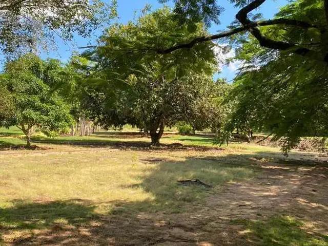 Sítio / Chácara para Venda em Dois Córregos/SP Três Rios 2 Quartos