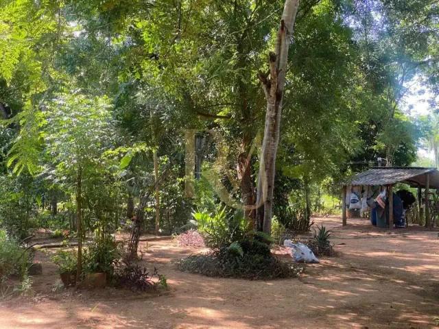 Sítio / Chácara para Venda em Dois Irmãos do Buriti/MS Zona Rural 1 Quartos