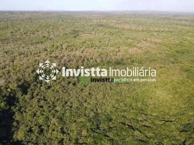 Sítio / Chácara para Venda em Dois Irmãos do Tocantins/TO Zona Rural