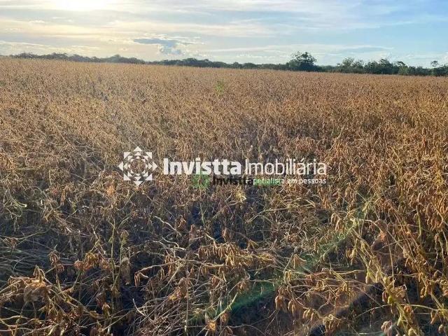 Sítio / Chácara para Venda em Dois Irmãos do Tocantins/TO Zona Rural