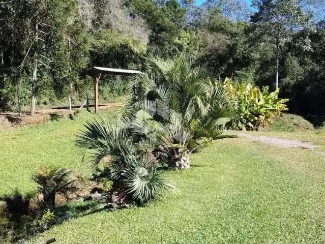 Sítio / Chácara para Venda em Dois Lajeados/RS Centro 3 Quartos