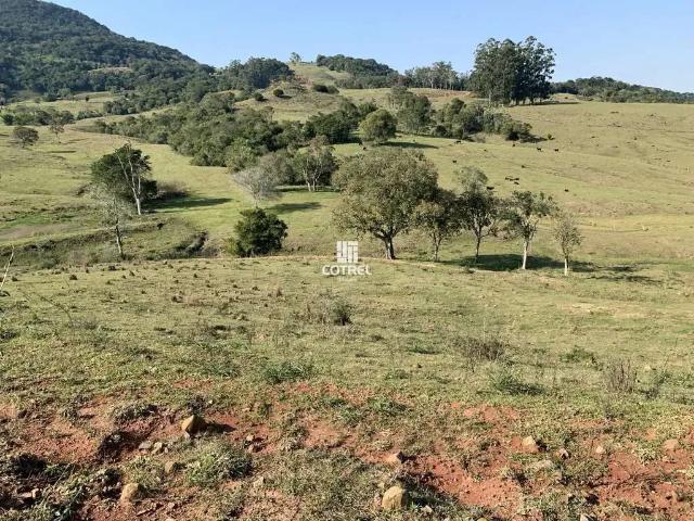 Sítio / Chácara para Venda em Dona Francisca/RS Zona Rural