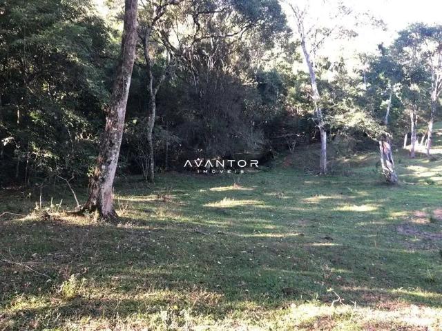Sítio / Chácara para Venda em Dona Francisca/RS Zona Rural