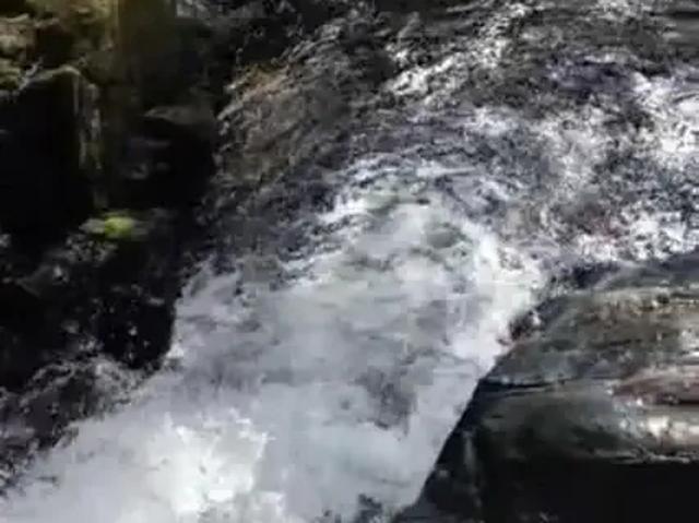 Sítio / Chácara para Venda em Delfinópolis/MG Centro