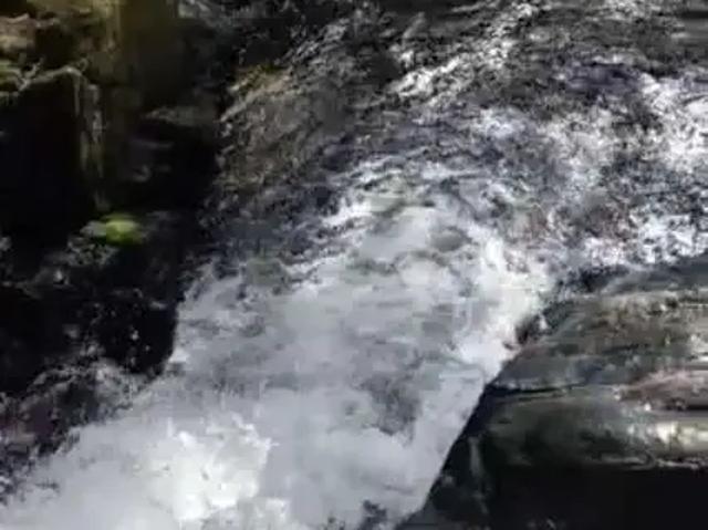 Sítio / Chácara para Venda em Delfinópolis/MG Zona Rural