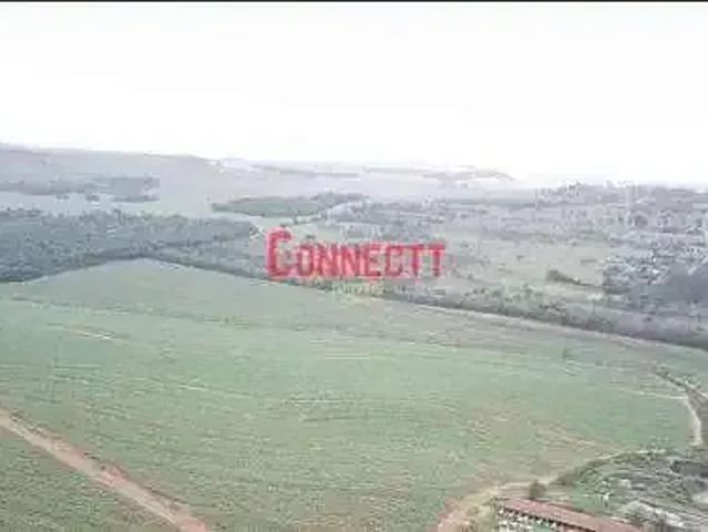 Sítio / Chácara para Venda em Descalvado/SP Centro