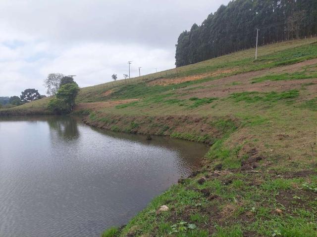 Sítio / Chácara para Venda em Divinolândia/SP Centro