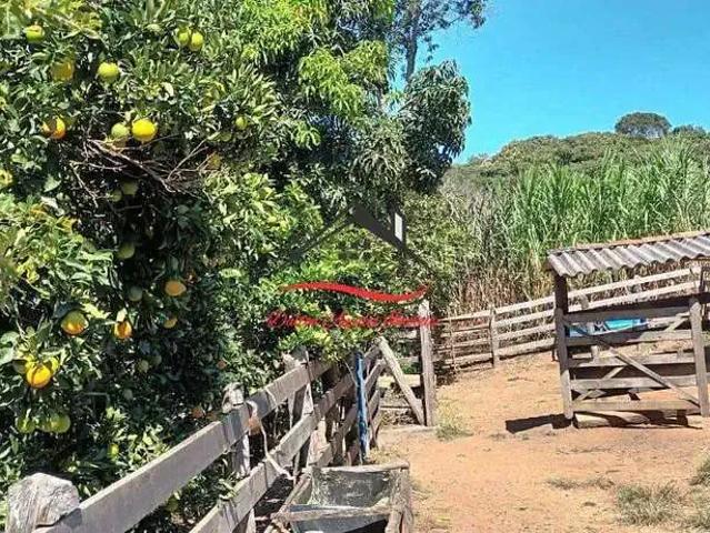 Sítio / Chácara para Venda em Diamantina/MG Zona Rural 2 Quartos